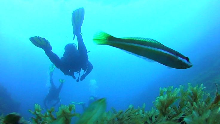 duiken en snorkelen aan de Costa Del Azahar, vakantie spanje
