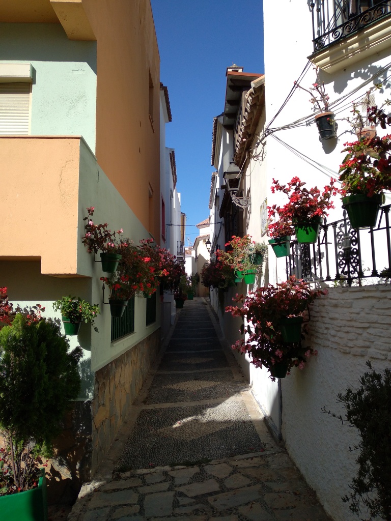 leuke-straatjes-en-pleintjes-in-estepona-met-veel-bloemen-vakantie-costa-del-sol-88-1